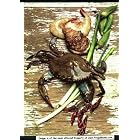 American Cooking : Creole and Acadian by American Cooking