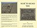 How to Read the Beach and Water