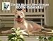 The Pit Bulls of New Orleans 2009 Calendar