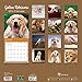2016 Golden Retrievers Wall Calendar