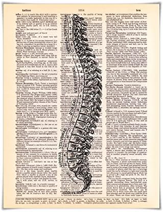 Vertebrae Anatomy - Printed on Vintage Dictionary Paper - 8x10.5 Human Anatomy Art Series