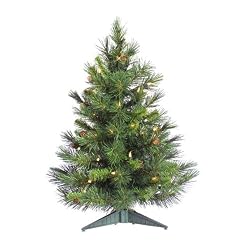3' Pre-Lit Cheyenne Pine Artificial Christmas Tree - Clear Dura Lights