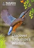 Discover Yorkshire's wildlife : your guide to Yorkshire and Sheffield Wildlife Trusts' nature reserves