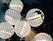 Spring Rose(TM) White Paper Lantern Party String Lights. These Are Perfect For Wedding Decorations. Great For Small Get-Togethers or Large Events. Be Sure You Add These to Your List of Party Supplies!!!