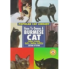 Burmese Cat (Popular Cat Library)