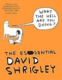 What the hell are you doing? : the essential David Shrigley