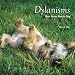 Dylanisms - Short Stories About a Dog by Ellice D. Uffer