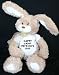 Search : Plush Stuffed Bunny (Molasses) toy with Happy Saint Patrick's day T-Shirt