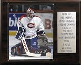 NHL Patrick Roy Montreal Canadiens Career Stat Plaque