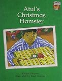 Atul's Christmas hamster