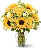 Rays of Sunshine with Jordan Vase