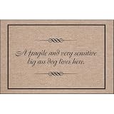 A Fragile Dog Doormat by 