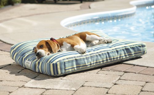 large outdoor dog bed