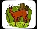 Mouse Pad with deer, wildlife, roe-deer, brown, forest, animal