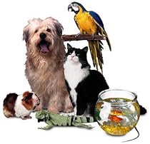 Click to Download Free Kindle Book -> MANUAL FOR PET OWNERS