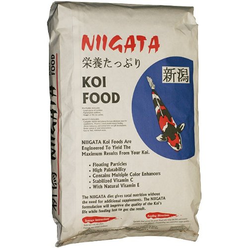 best neoprene dog vest