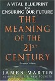 The Meaning of the 21st Century: A Vital Blueprint for Ensuring Our Future