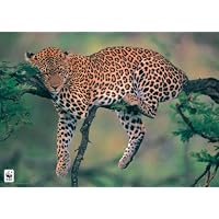 Leather Coin Purse - Leopard
