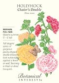 Hollyhock Chaters Double Seeds 100 Seeds