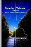 Mouches Volantes - Eye Floaters as Shining Structure of Consciousness