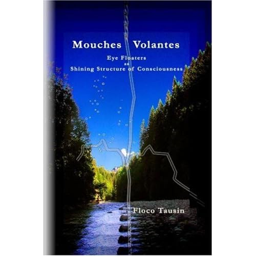 Mouches Volantes - Eye Floaters as Shining Structure of Consciousness