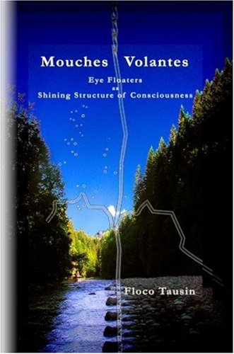 mouches volantes eye floaters as shining structure of consciousness