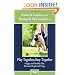 Play Together, Stay Together - Happy and Healthy Play Between People and Dogs