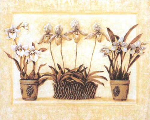 Tuscan Contemporary Flower Floral Wall Decor Picture Art Print
