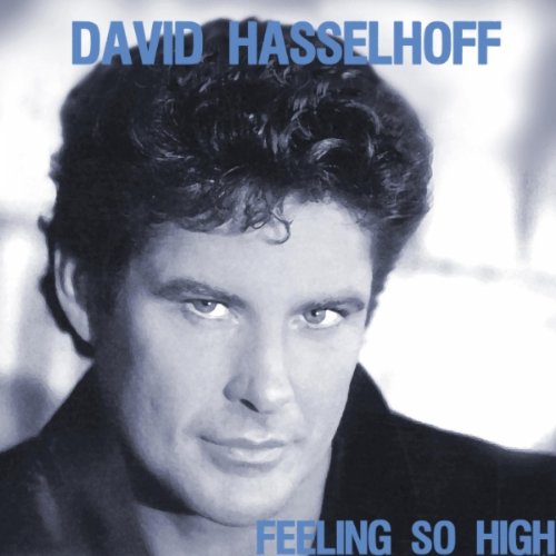 David Hasselhoff Photo 13
