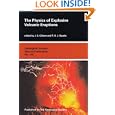 The Physics of Explosive Volcanic Eruptions (Geological Society Special Publication)