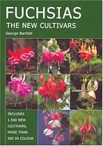Fuchsias: The New Cultivars