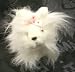 GANZ Webkinz Plush Lil' Kinz Yorkie