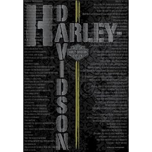 Licensed Harley Davidson Pavement Slogans Flag 30