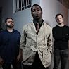 Image of Animals as Leaders