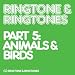 Ringtones- Kitten Mewing Ringtones- Kitten Mewing