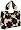 Dalmation