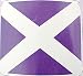 Scottish Saltire Flag Fleece Throw Blanket Scotland