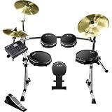 Alesis DM10 Pro Kit Professional Electronic Drumset