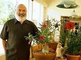 Dr. Andrew Weil's Healthy Aging