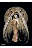 �����å��ݥ�������Luis Royo��White Angel�ա�