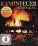 Kaminfeuer Stimmung (Fireplace Impressions) [Blu-ray]