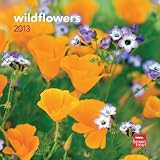 Wildflowers 2013 7X7 Mini Wall