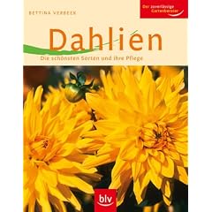 Dahlien: Die sch�nsten Sorten und ihre Pflege