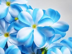 Hawaiian silk wedding flowers