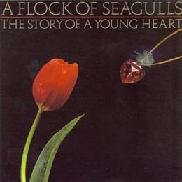 A Flock Of Seagulls Foto 3