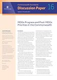 MDGs progress and post-MDGs priorities in the Commonwealth