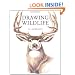 Drawing Wildlife