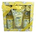 Village Flowers Geschenkset Yellow - Orchid