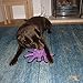 TUFFY - World's Tuffest Soft Dog Toy - Barnyard Sheep - NO Squeakers - Multiple Layers. Made Durable, Strong & Tough. Interactive Play (Tug, Toss & Fetch). Machine Washable & Floats. (Regular)