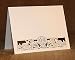 Paper Orchid Seashells Note Card Latte(10 Pack)
